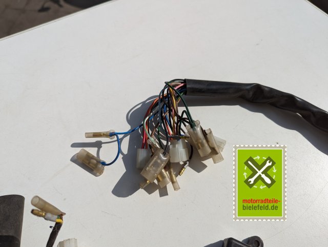 PXL_20240528_144302352